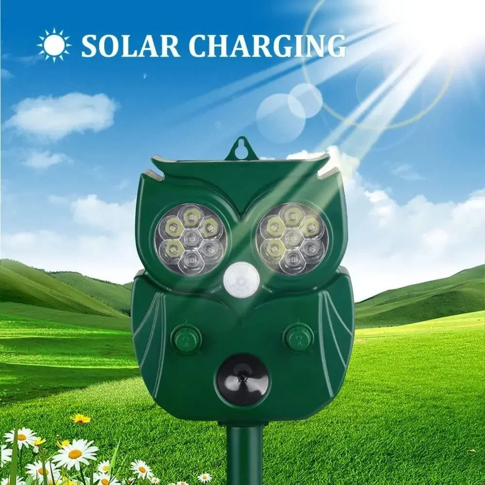 main-image-5